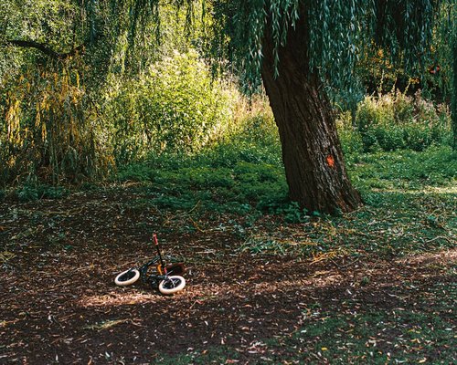 Person tying running shoes in a park
